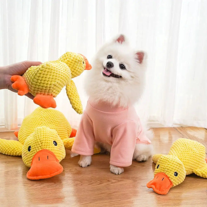Pato Amigo DuckZen – Diversão e equilíbrio emocional para seu pet