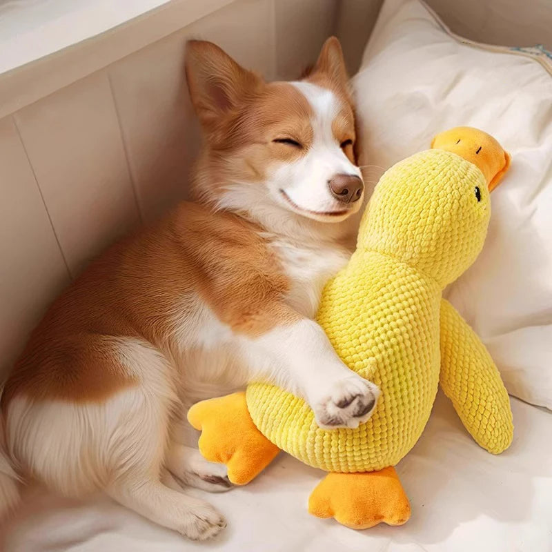 Pato Amigo DuckZen – Diversão e equilíbrio emocional para seu pet