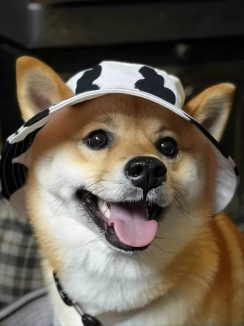 Pet Bucket Hat